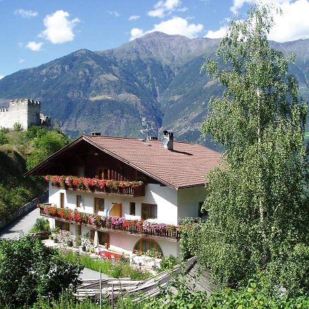 Schlosshof Zu Montani Morter Exteriér fotografie