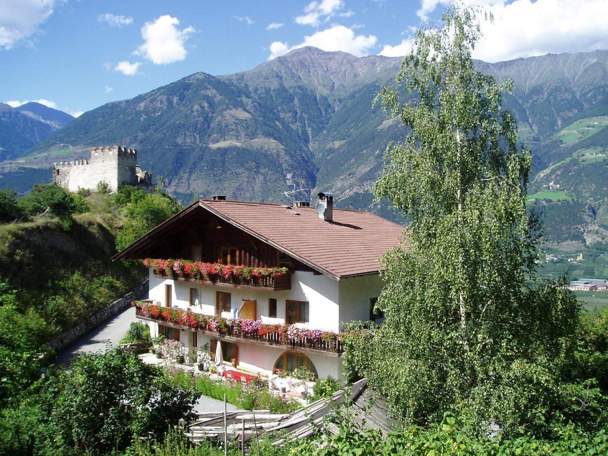 Schlosshof Zu Montani Morter Exteriér fotografie