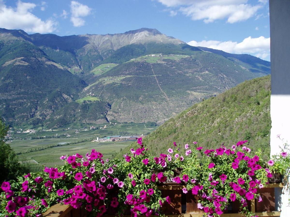 Schlosshof Zu Montani Morter Exteriér fotografie