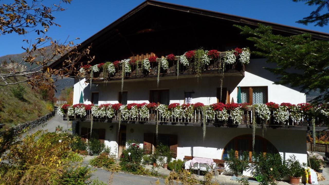 Schlosshof Zu Montani Morter Exteriér fotografie