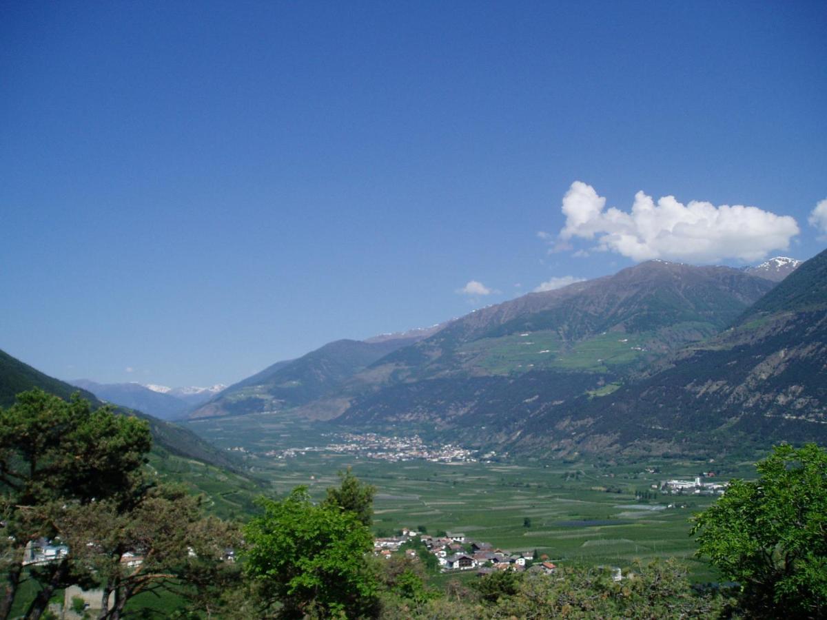 Schlosshof Zu Montani Morter Exteriér fotografie